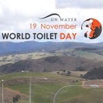 World Toilet Day