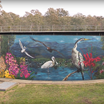 Transforming Narrabundah reservoir