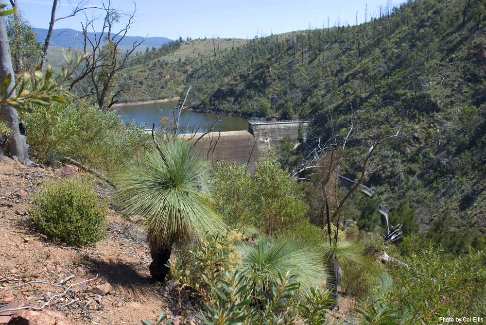 The original Cotter Dam