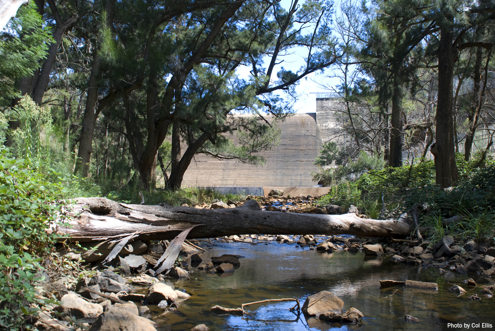 Downstream of Cotter Dam