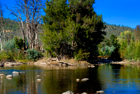 Confluence of the Cotter and Murrumbidgee Rivers