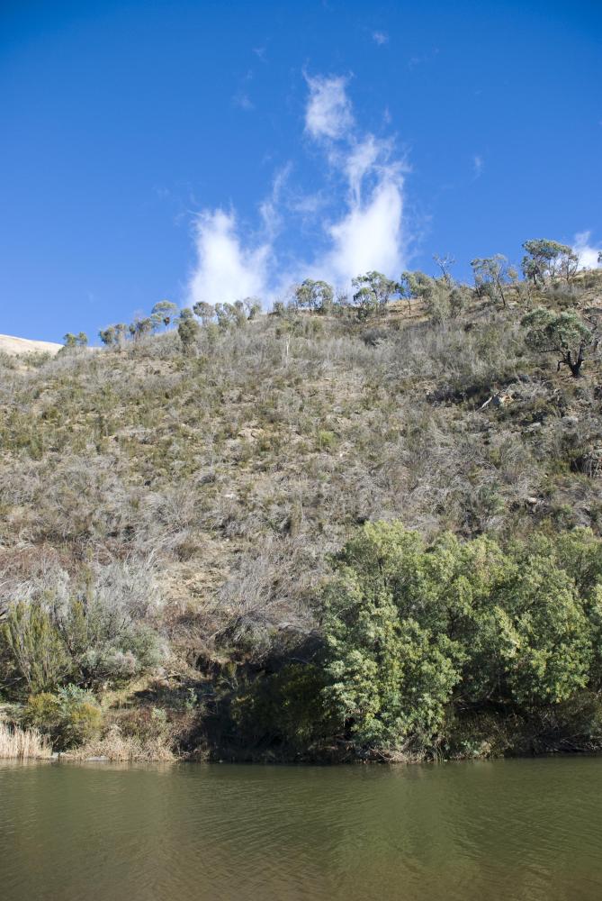 Murrumbidgee River bank