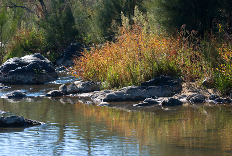 Murrumbidgee River