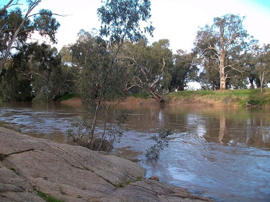 Murrumbidgee 